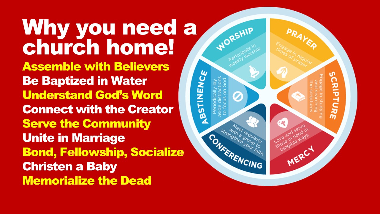 Why you need a church home!